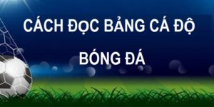 Cách đọc bảng cá độ bóng