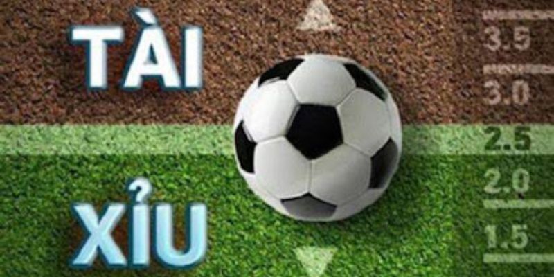 Kèo tài xỉu được chia thành nhiều mức độ khác nhau